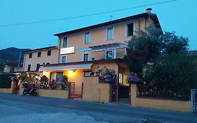 Nonna lory