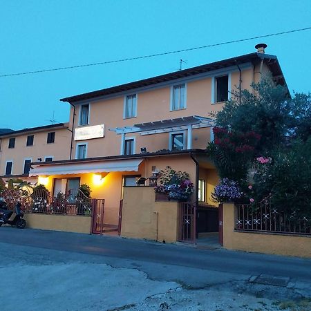 Bed and Breakfast Nonna lory Pietrasanta Esterno foto