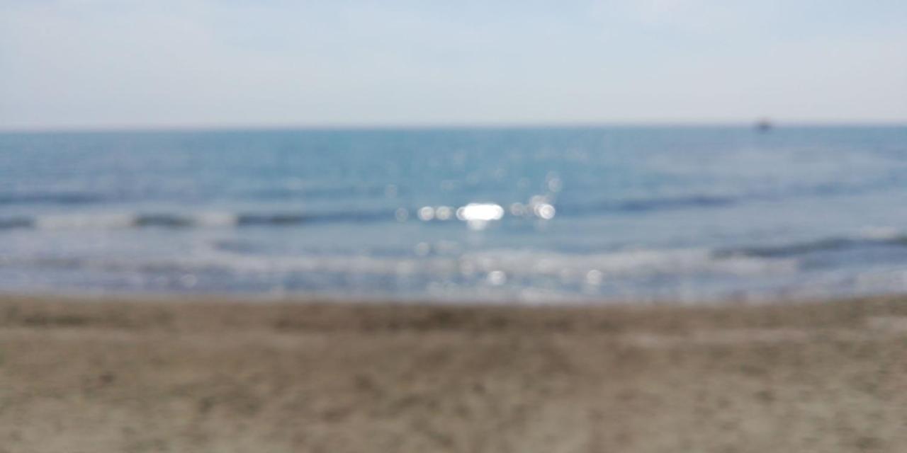 Bed and Breakfast Nonna lory Pietrasanta Esterno foto